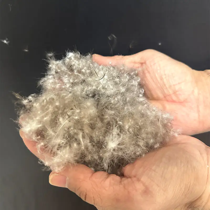 80% Grey Duck Down